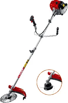 2797795