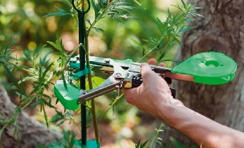 70iga03ounxd8lyzh392bp5xmy38cxqa